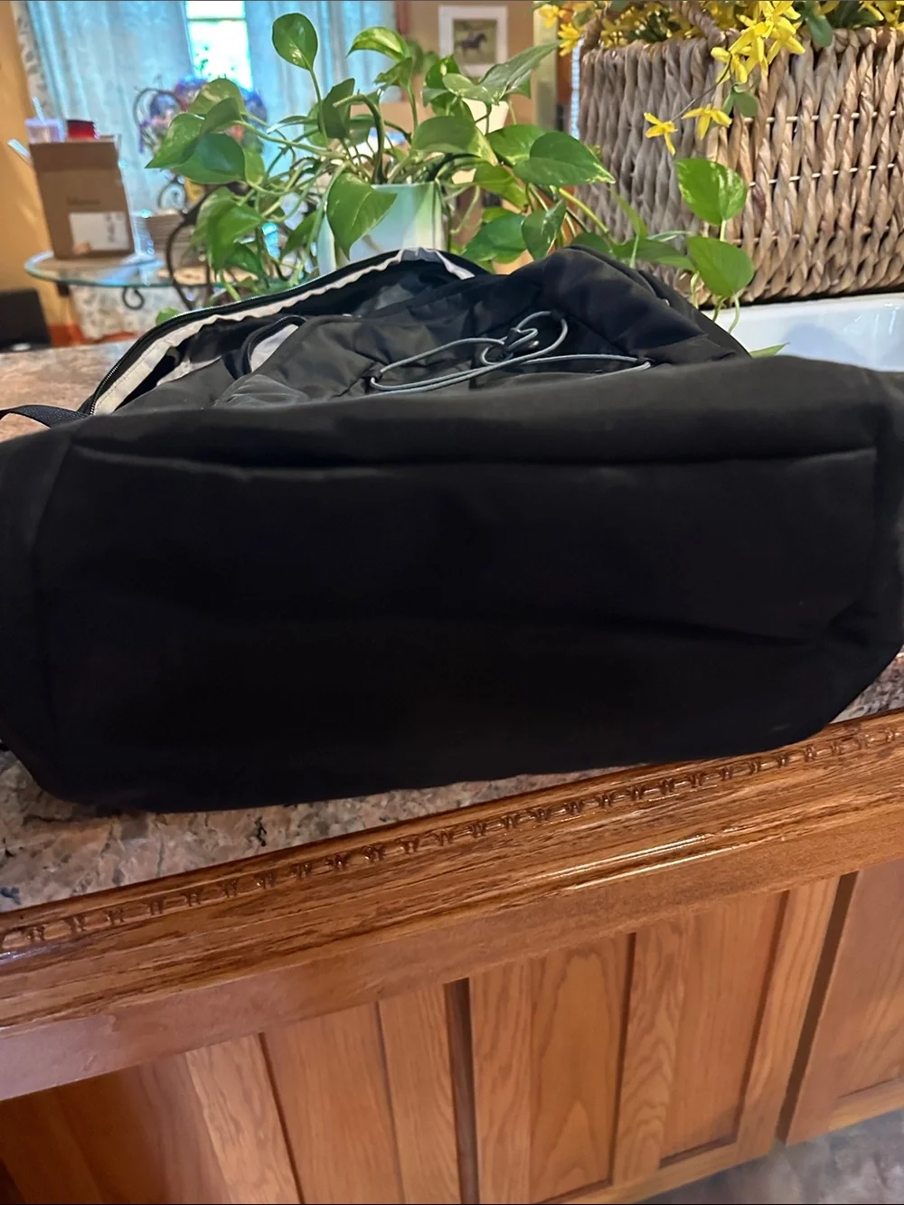 Patagonia Black Backpack with Gray Bungee Cord